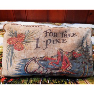 Frontiertown pillow