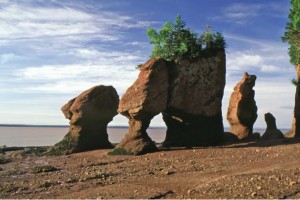 Hopewell Rocks