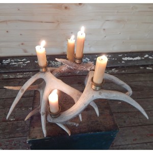 antler candelabra cropped