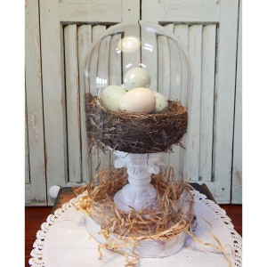 bird nest cloche 8