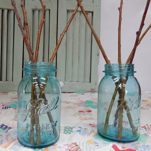 Blue Mason Jars