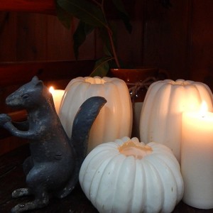 fall candles & squirrel cropped 2