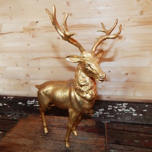 gold stag cropped
