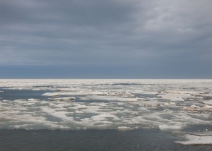 lake with ice cropped