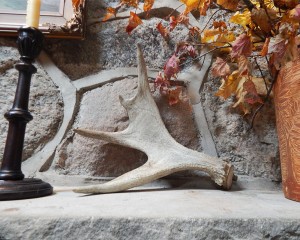 moose antler on mantel