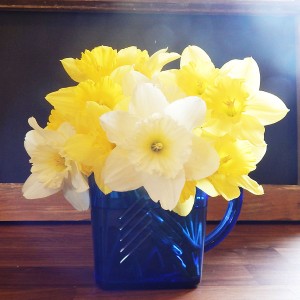 pitcher with daffodils