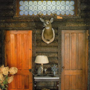 Adirondack Style by Ann Stillman O’Leary </br><strong>www.annstillmanoleary.com</strong>