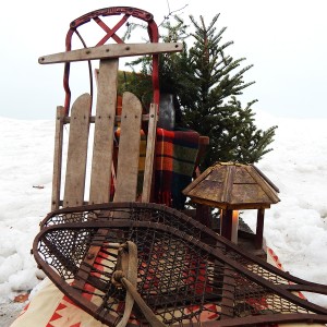 sled and snowshoes 3 cropped