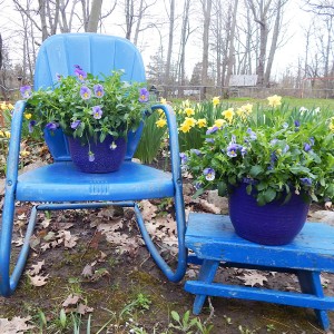 stool & chair