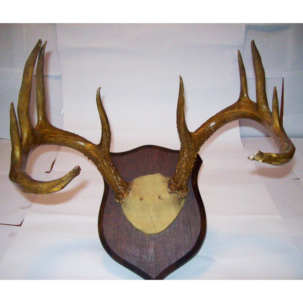 Vintage Deer Trophy