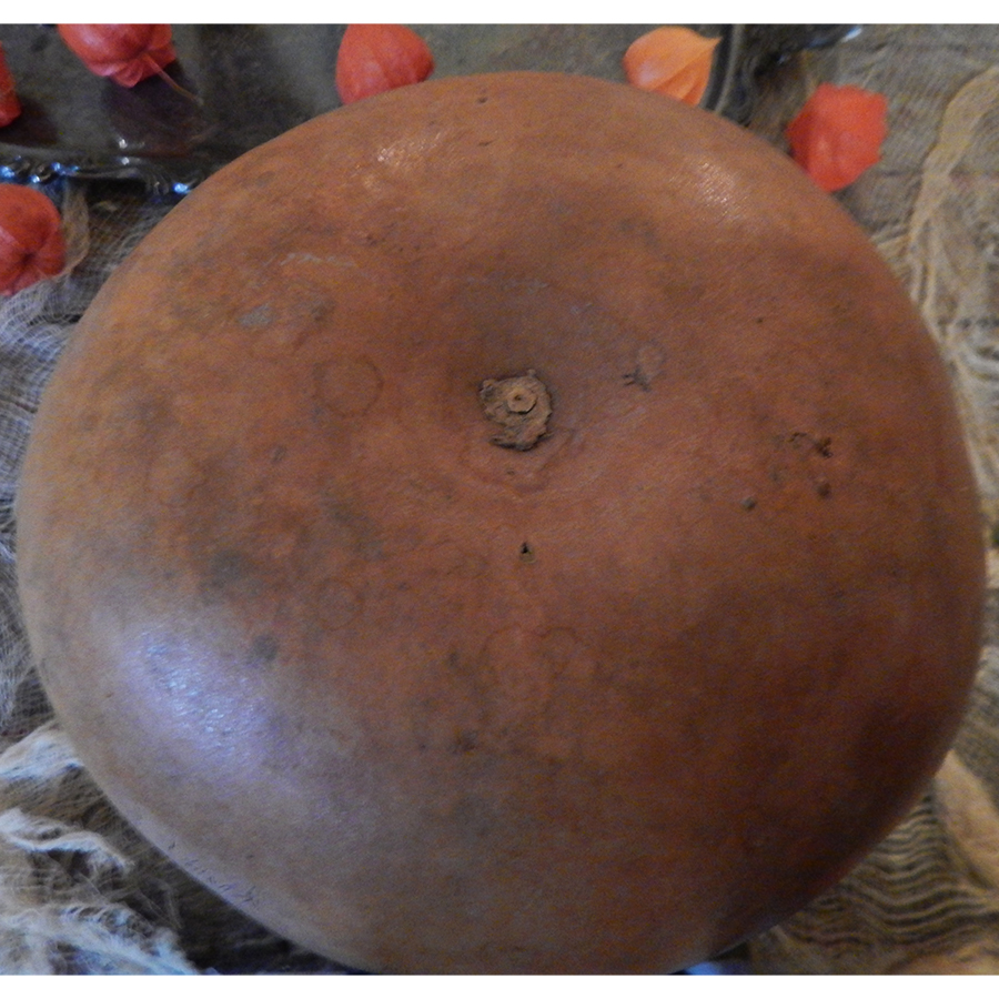 Gourd with Vintage Hunting Dog Portraits