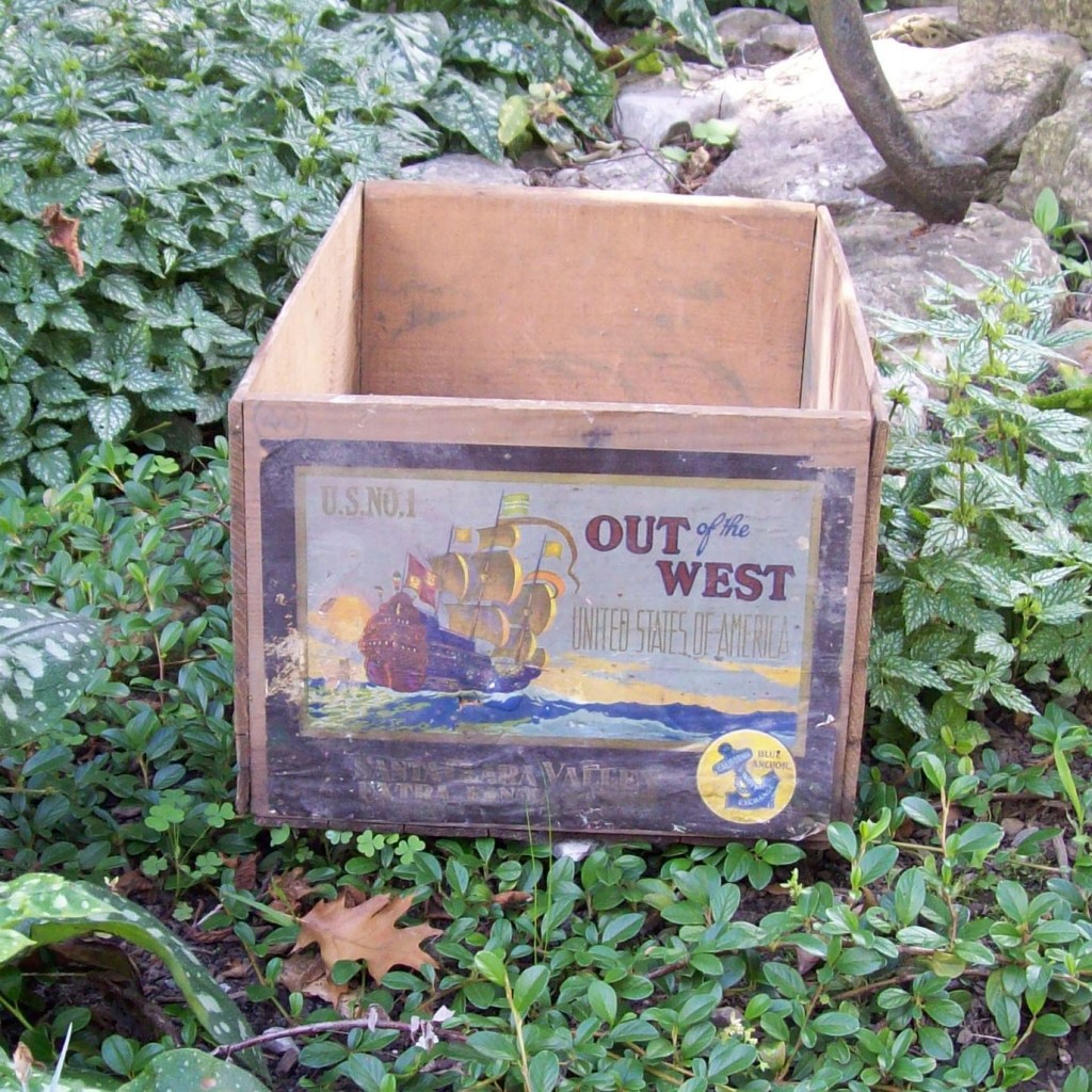 Vintage Pear Crate